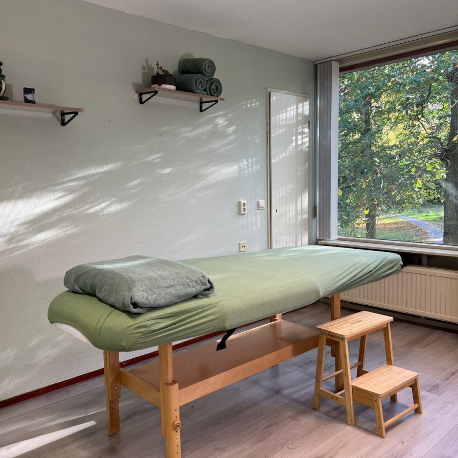 acupunctuur dordrechr chia